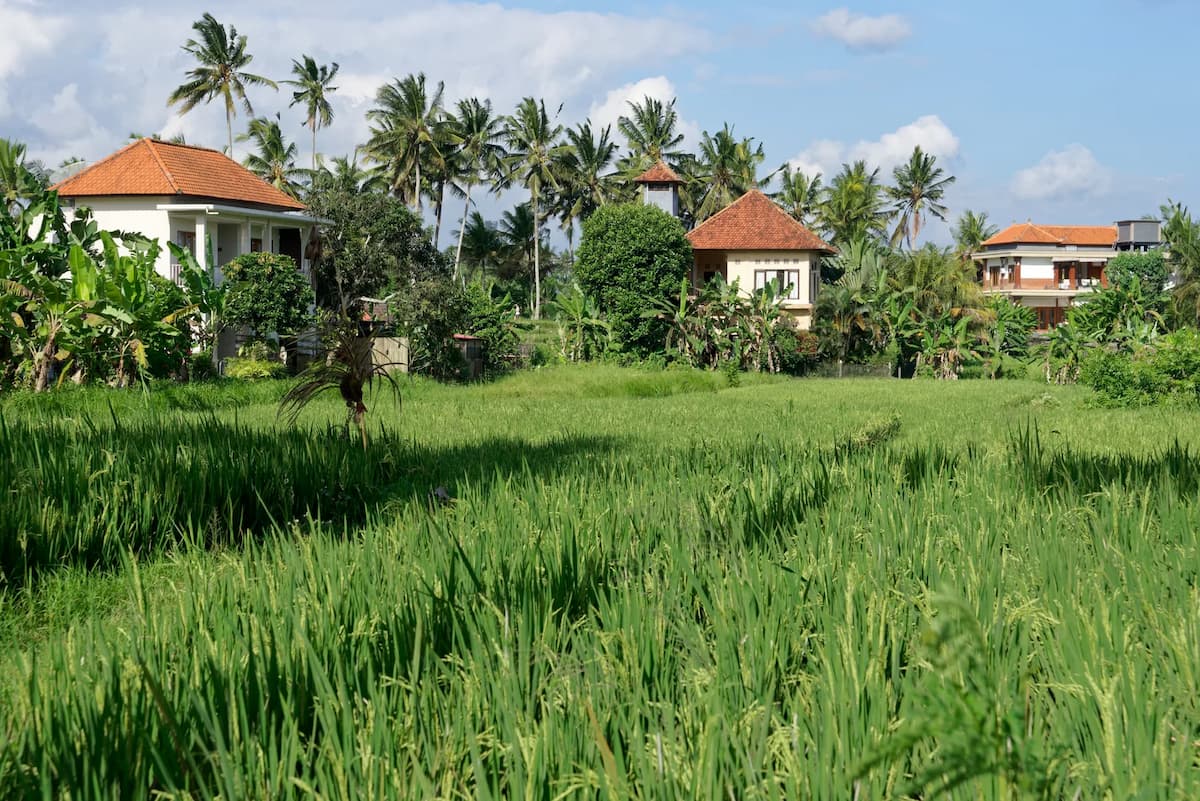 Digital Nomad: Panduan Kerja Remote Sambil Traveling Jangka Panjang
