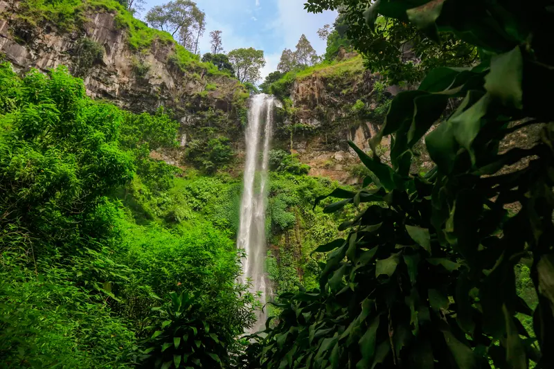 Air terjun Coban Rondo di tengah tebing berhutan pinus, kawasan Pujon dekat Kota Batu