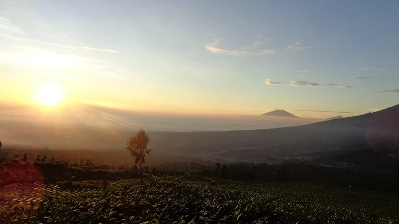 Matahari terbit di Bukit Posong Temanggung dengan lautan kabut menutup lembah dan siluet Gunung Sumbing