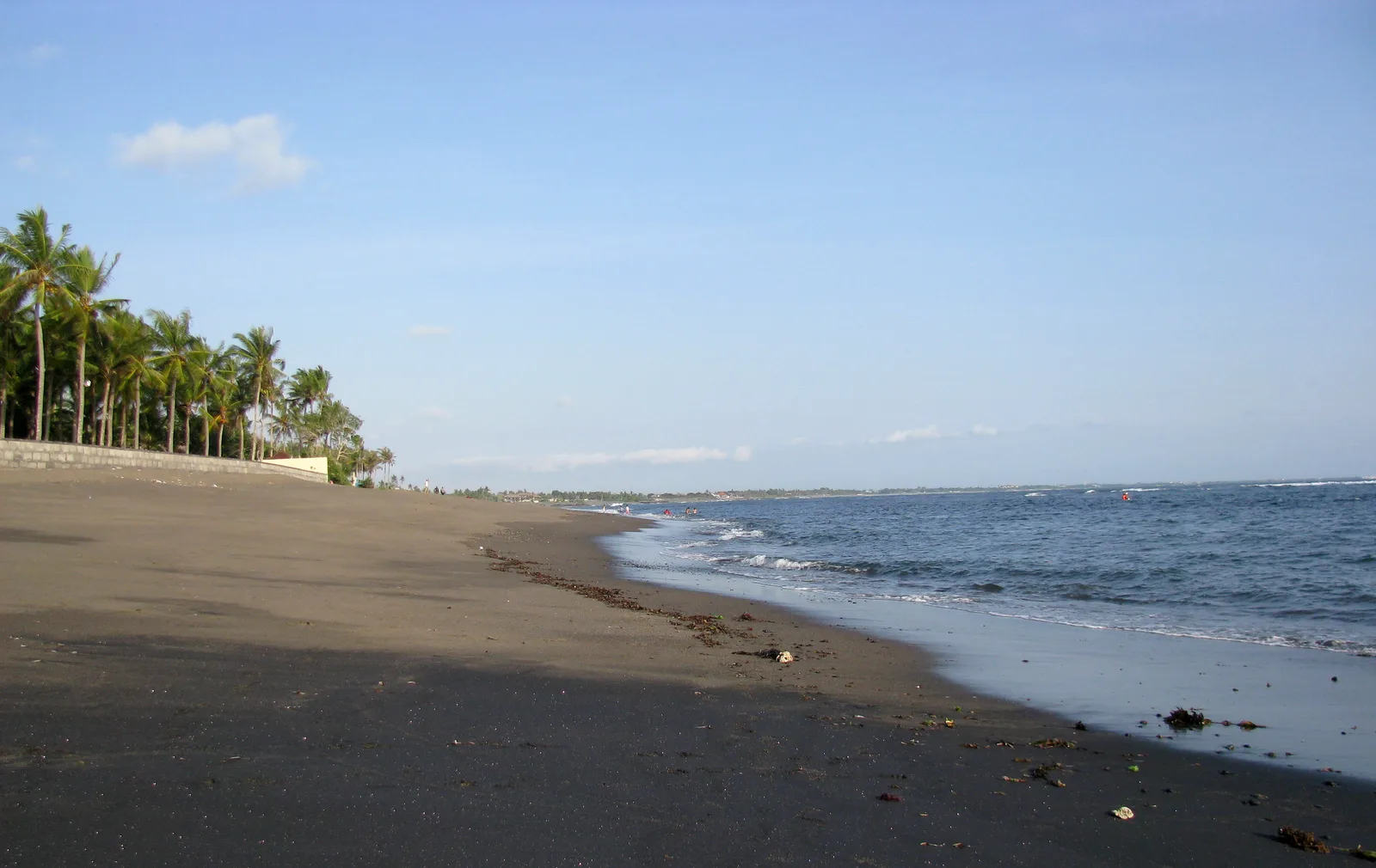 Garis pantai berpasir hitam di Canggu, Bali, dengan barisan pohon kelapa di kejauhan