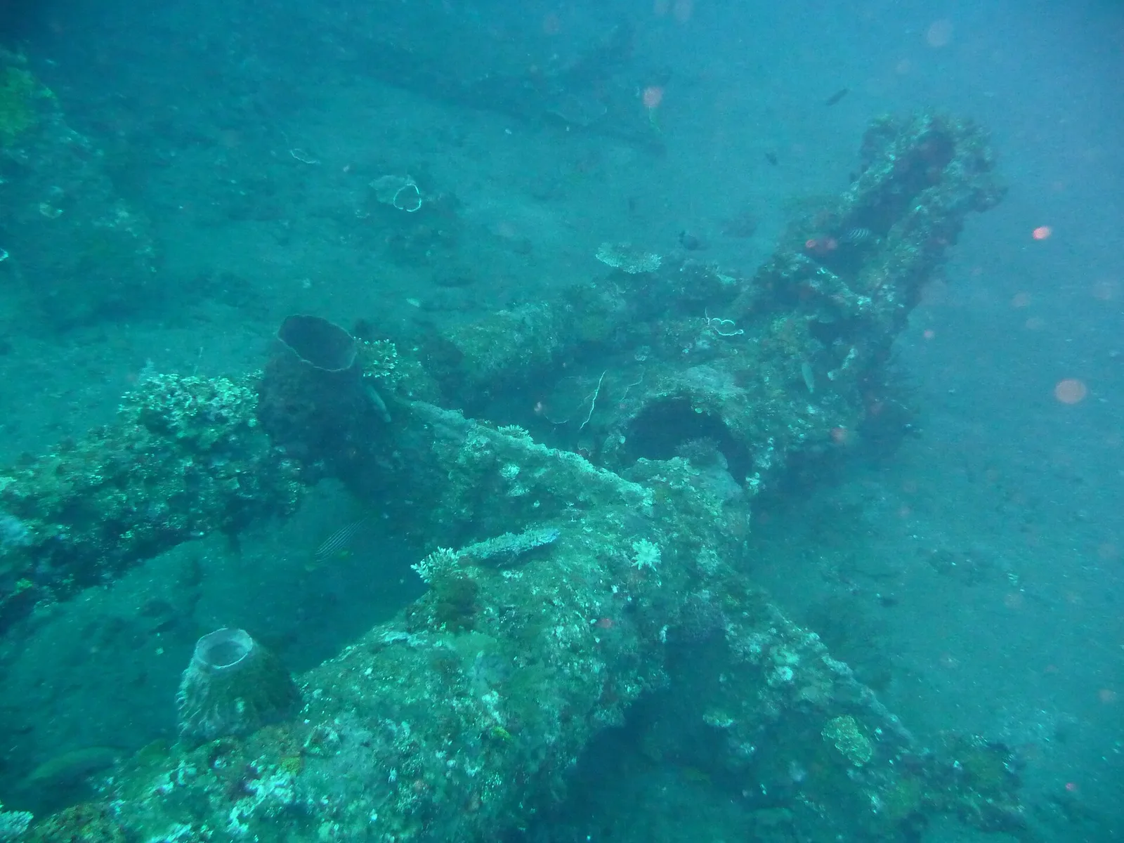 Rangka dan tiang bangkai kapal USAT Liberty yang berselimut karang, terbaring miring di dasar laut berpasir