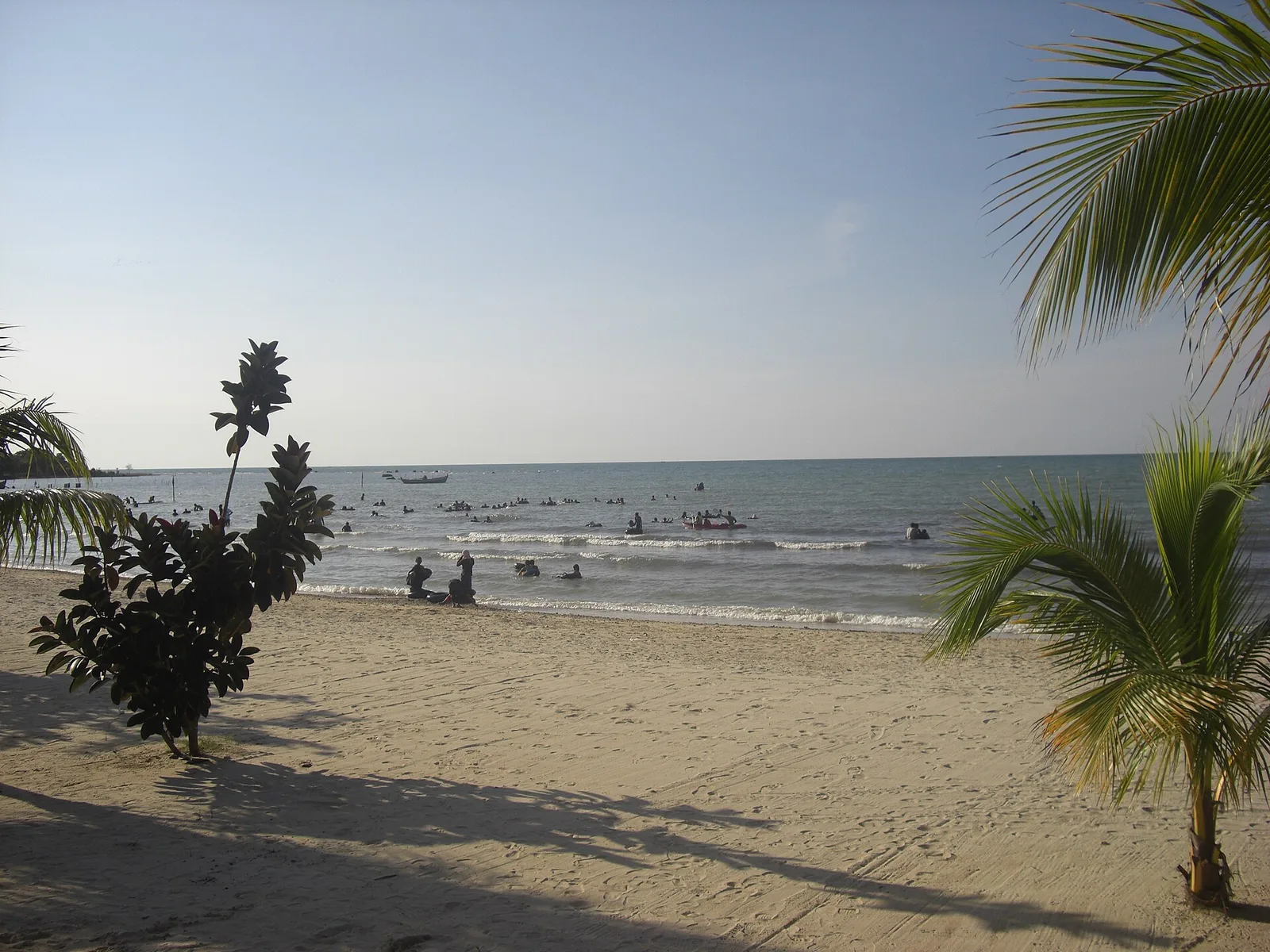Pengunjung berenang di perairan dangkal Pantai Bandengan dengan hamparan pasir putih dan pohon kelapa di tepi pantai