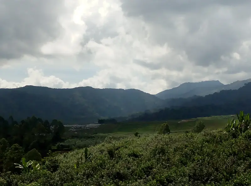 Lereng Gunung Arjuno dan kebun di kawasan Tulungrejo, Kota Batu, Jawa Timur
