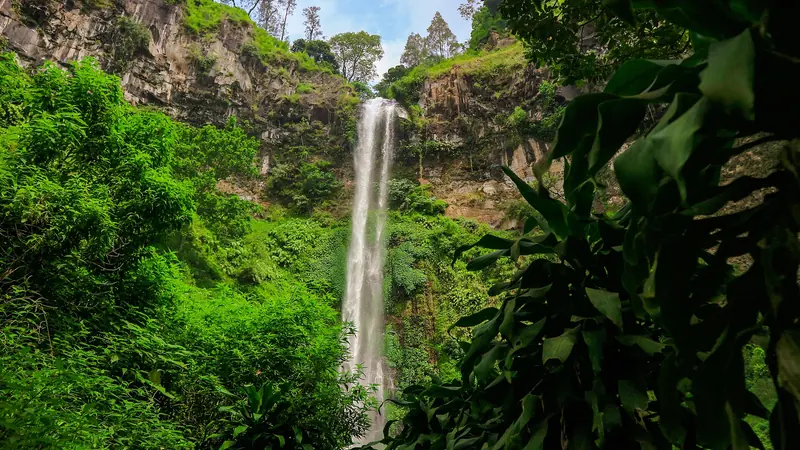 Air Terjun Coban Rondo mengalir dari tebing batu yang dikelilingi hutan hijau di Pujon, Malang